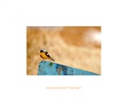 dailyPhoto7